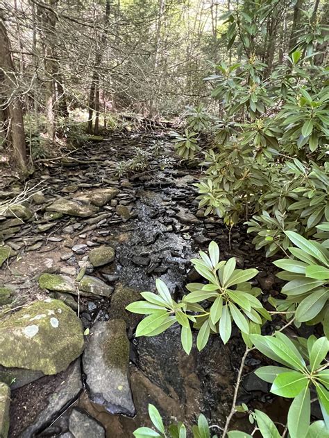 The Best Hiking Trails in Deep Creek Lake, Maryland - Postcards From Carrie