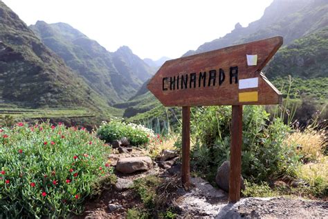 Explore the 3 Best Hiking Trails in Tenerife if you Love Nature