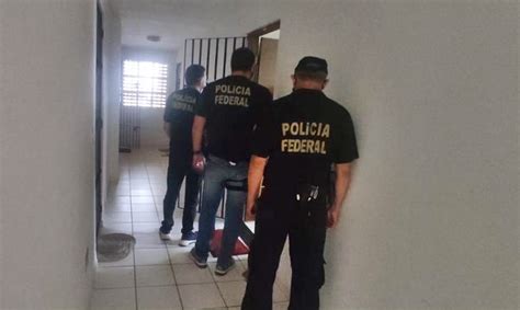 Pf Desarticula Grupo Criminoso Respons Vel Por Promover Fraudes