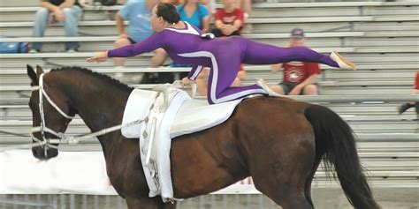 What is Horse Vaulting? - Equiniction