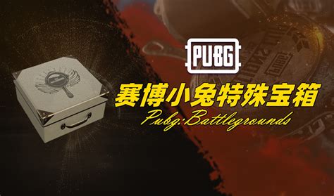 Pubg 赛博小兔特殊宝箱 Cdkey 激活码 兑换码 充值卡 游戏账号 Igxe电竞饰品交易平台