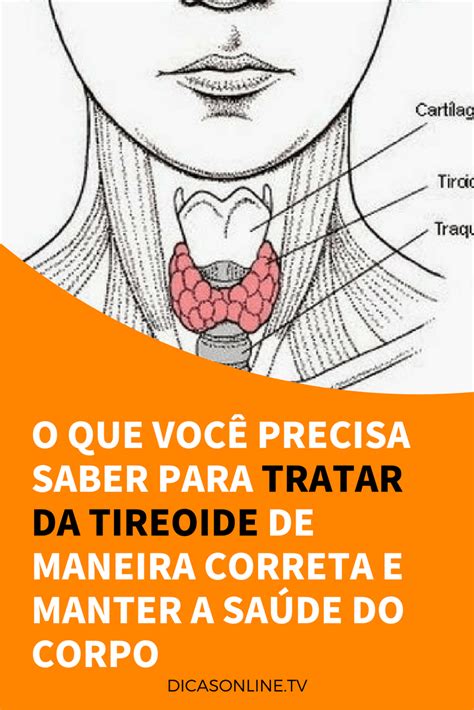 Dicas Para Voc Cuidar Bem Da Sua Tire Ide Tireoide Tratamento