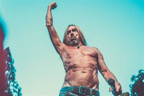 Iggy Pop Filmar Un Documental Sobre La Historia Del Punk Rock