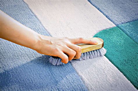 How To Hand Clean Carpet Storables