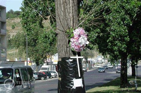 Adaptar a velocidade às situações de trânsito que o condutor se