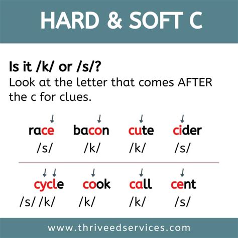 Soft C Word List