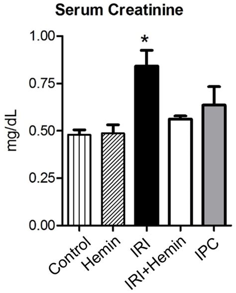 C57bl 6 Male Mice Were Subjected To Surgical And Treatment Procedures Download Scientific