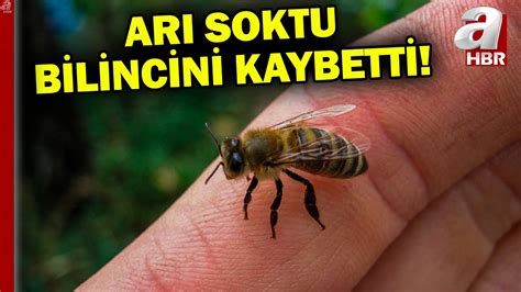 Arı sokması sonucu bilincini kaybetti Böcek ısırmalarına karşı nasıl