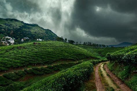 Top 5 Must Visit Places In India During Rainy Season - Monsoon Destinations