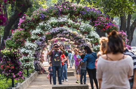 Esta Semana Vuelve El Festival De Flores Y Jardines A Polanco La Voz