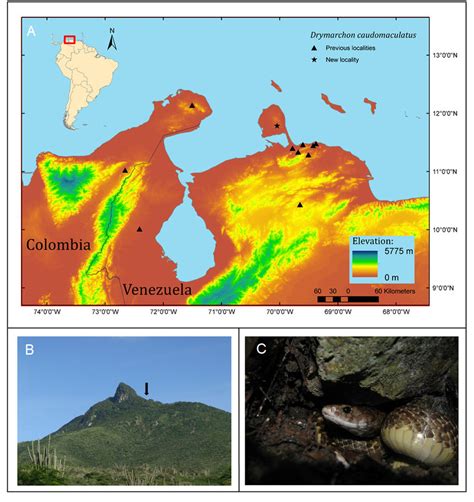 A Topographic Map Of Northwestern Venezuela And Northeastern Colombia