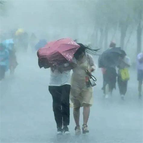 刚刚东莞发布分镇街暴雨红色预警 台风 降水 天气