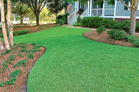 Having A Green Lawn Without Using Harmful Chemicals Crowdy Home