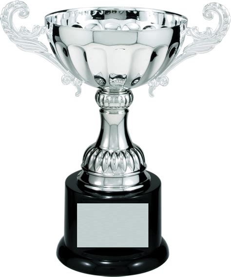 shop personalize metal cup trophy award  series  dell awards