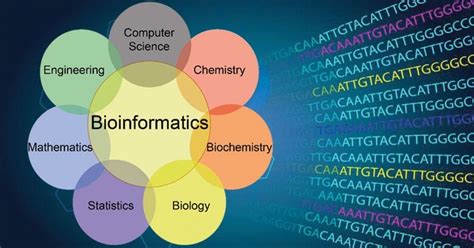 Bioinformatics- Introduction and Applications