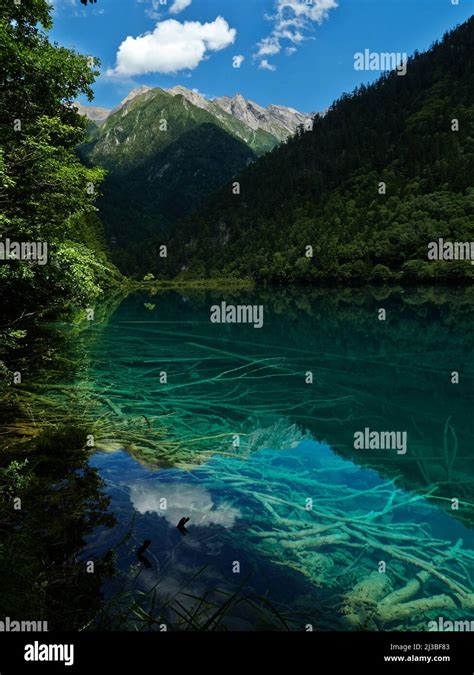 The Landscape View Of A Transparent Blue Lake Reflecting The Forest