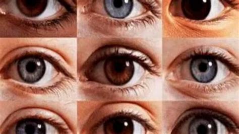 De qué color son tus ojos Este test visual revela rasgos de tu