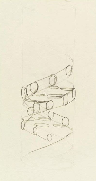 Double Helix Sketch at PaintingValley.com | Explore collection of ...