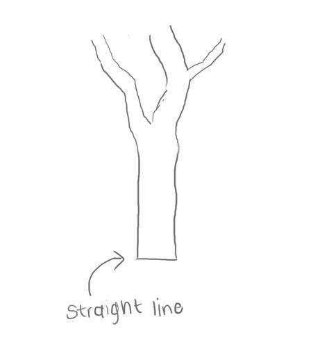 How To Draw A Tree Step By Step