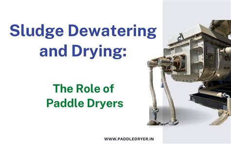 Sludge Dewatering And Drying The Role Of Paddle Dryers