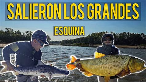 EXPLOTA La PESCA En ESQUINA DORADOS SURUBI Y RAYA Puerto Esquina