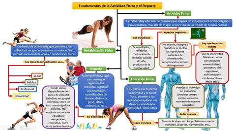 Fundamentos de la Actividad Física y el Deporte YouTube