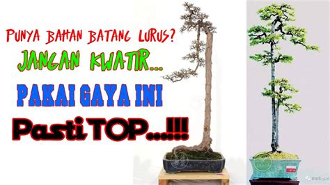 Inspirasibonsai Belajarbonsai Bonsaibunjin INSPIRASI BONSAI GAYA