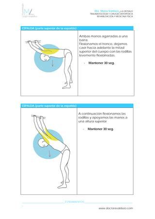 Rutina Ejercicios De Estiramientos Pdf