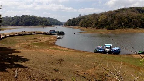 Periyar Wildlife Sanctuary- Timings, Entry Fee, Activities, Booking