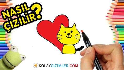 Kedi Izimi Ar Ivi Kolay Izimler