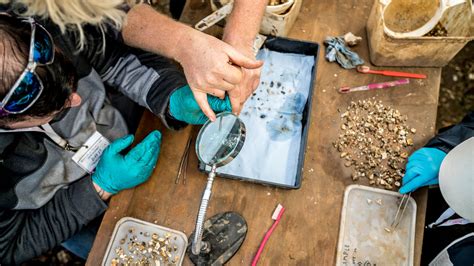 The Stonehenge Landscape - Scientists and volunteers painstakingly sifted through the dirt to ...