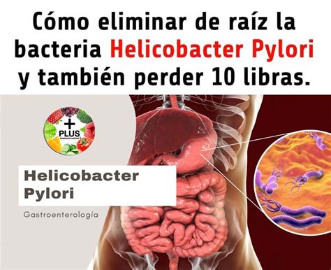 CÓMO ELIMINAR LA BACTERIA HELICOBACTER PYLORI Y PERDER 10 LIBRAS