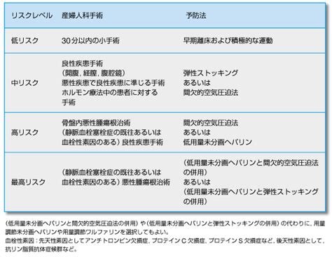 肺血栓塞栓症深部静脈血栓症（静脈血栓塞栓症）予防ガイドライン