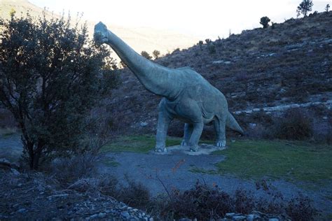 Ruta De Los Dinosaurios Por Enciso Reserva En Civitatis