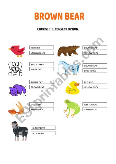 Brown Bear Choose Esl Worksheet By Compritas18