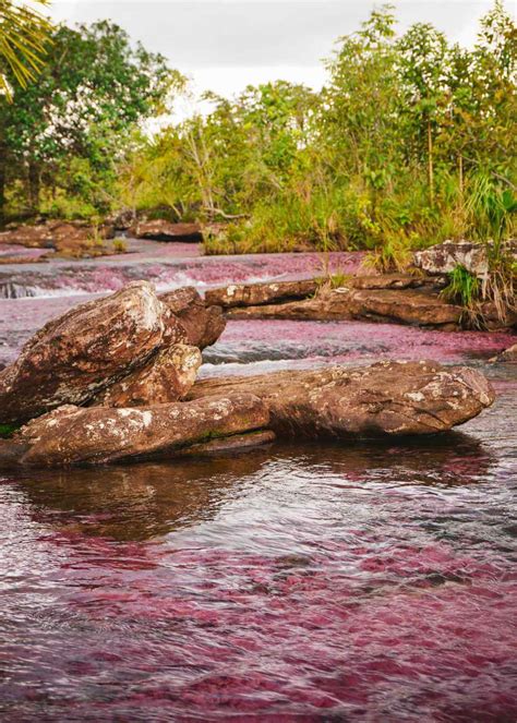 Qué Hacer En Llanos Orientales Colombia 2023 Travelgrafía