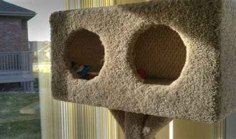 How to Build a Cat Condo - DIY and Repair Guides