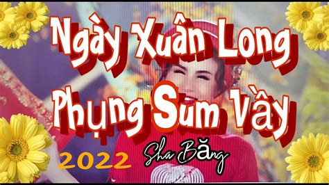 NhẠc XuÂn Remix 2022 Ngày Xuân Long Phụng Sum Vầy Sha Băng Official Music Video Youtube