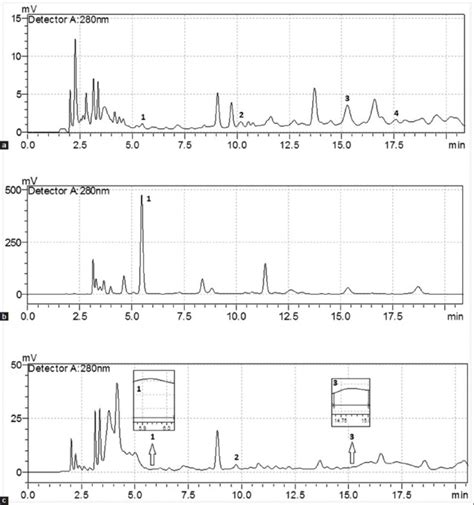 Representative High Performance Liquid Chromatography Chromatograms Of