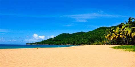 Plage de Deshaies | Follow me on Facebook ---> My Facebook ...