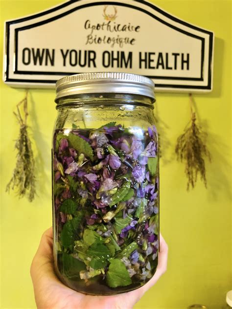 Wild Violet Tincture