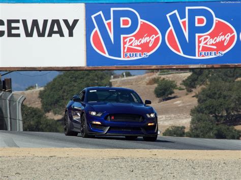 Ford Mustang Shelby Gt R Picture Of X