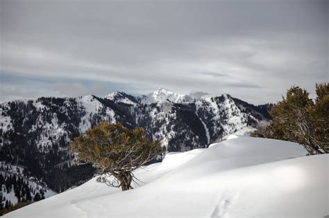 Free Images Tree Snow Winter Cloud Mountain Range Weather