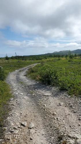 Best Off Road Driving Trails In Small Point Adam S Cove Blackhead Broad