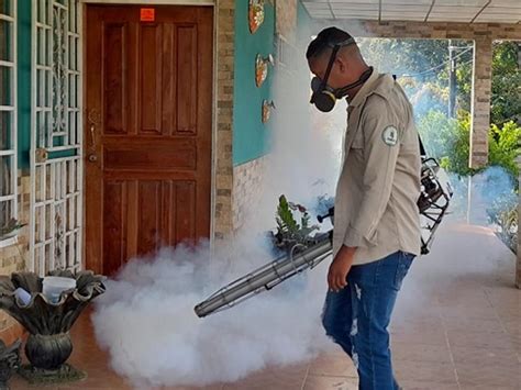 Río de Janeiro decreta el fin de epidemia de dengue Diario Digital