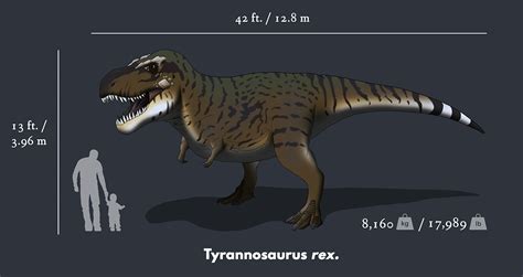 Tyrannosaurus Rex Size Chart :: Behance