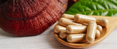 Mushroom Supplements Side Effects: What You Need to Know? - Natures Rise