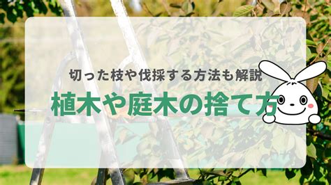 植木・庭木を処分する5つの方法！切った枝の捨て方についても解説