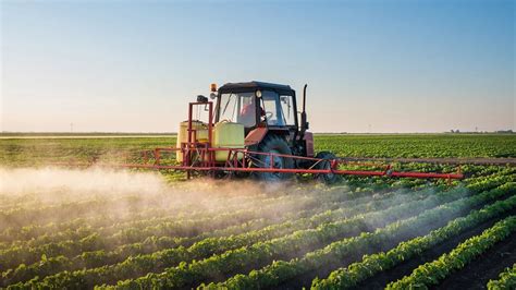 ¿se Puede Fumigar Un Campo Al Lado De Una Escuela Rural Y No Afectar A