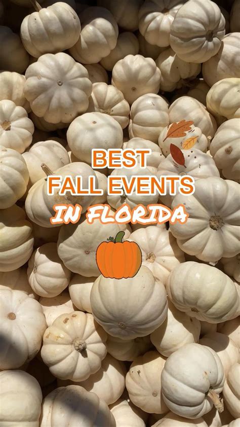 Best Fall Events In Florida Fall Home Decor Fall Wreaths Fall Events